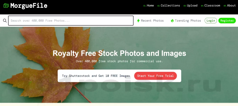 morguefile фотосток фотобанк