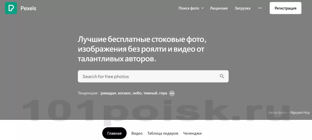 pexels фотосток фотобанк