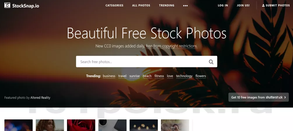 stocksnap фотосток фотобанк