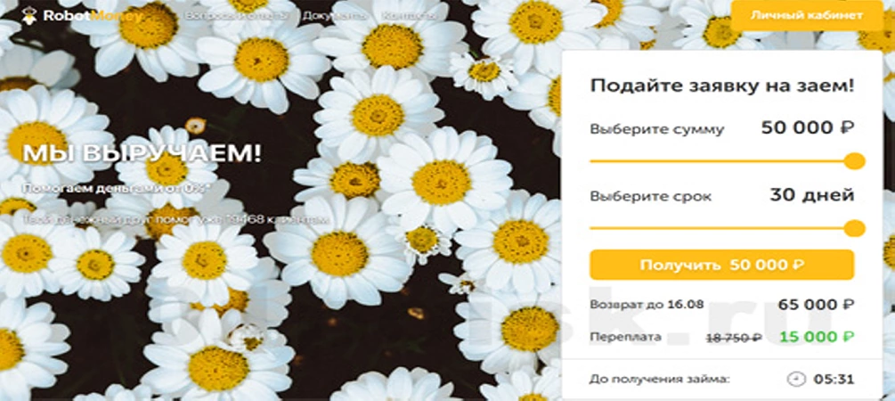 robotmoney сервис онлайн займов