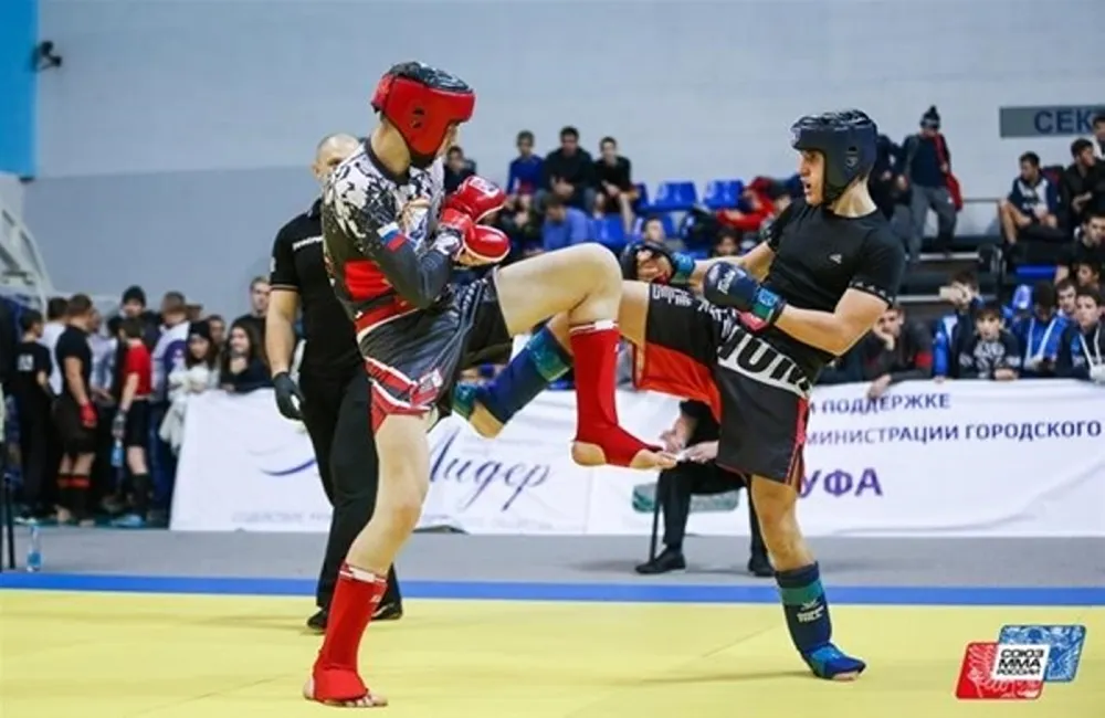 что дают за кмс