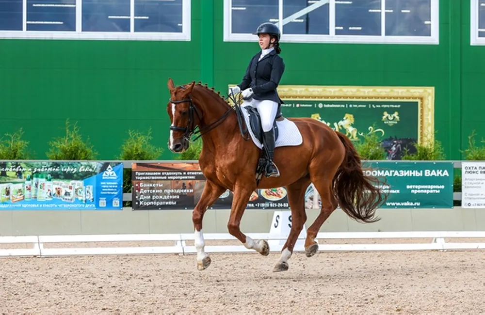 основные требования к получению кмс