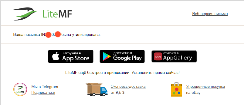 LiteMF